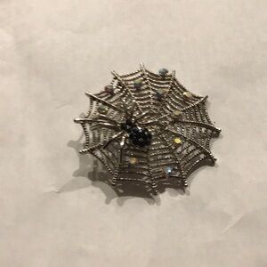 Silver Spider Web Brooch